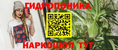 гидра Вязьма