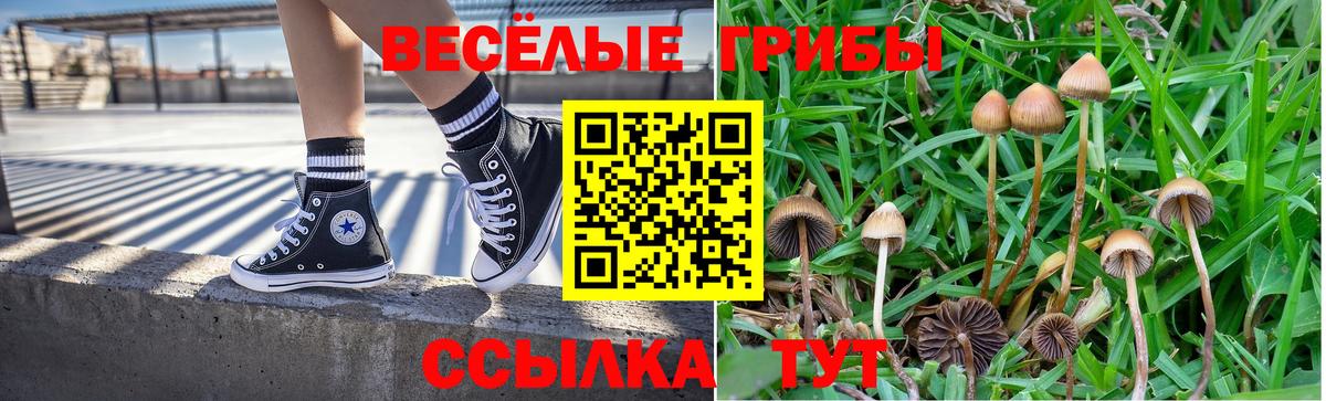 Псилоцибиновые грибы ЛСД  наркота  Вход с VPN  Гай  Псилоцибиновые грибы мицелий 