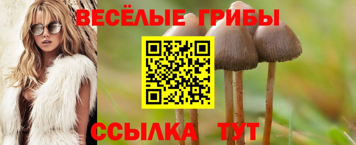 Галлюциногенные грибы MAGIC MUSHROOMS Гай